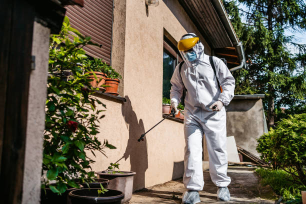 Best Pest Inspection Near Me  in North Boston, NY