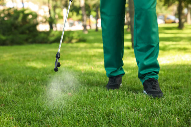 Best Mosquito Control Services  in North Boston, NY