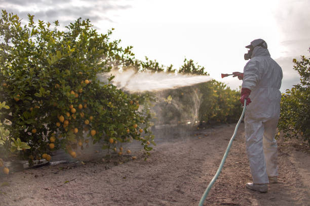 Best Insect Control  in North Boston, NY