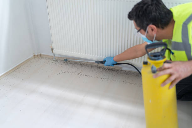 Best Emergency Pest Control  in North Boston, NY